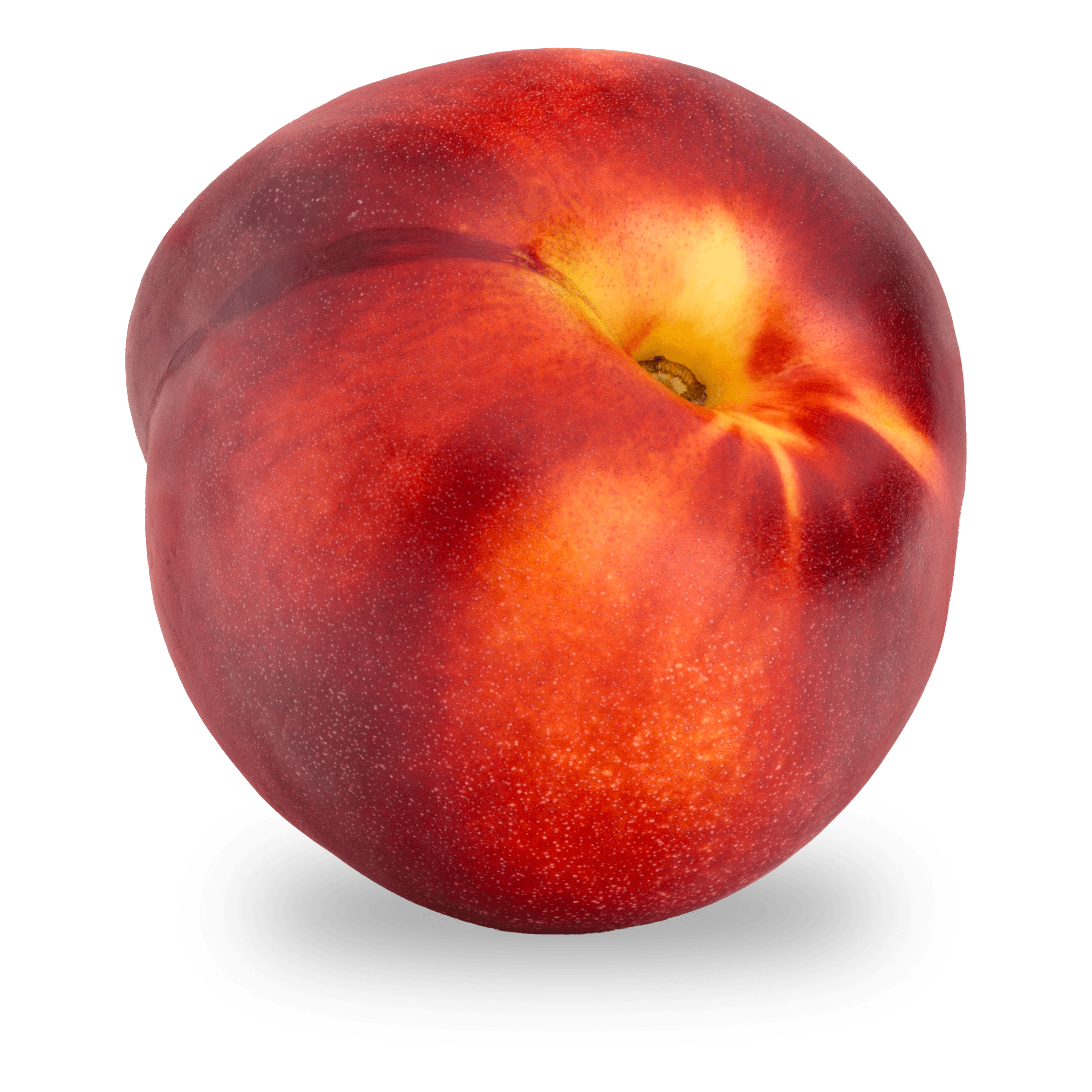 nectarine